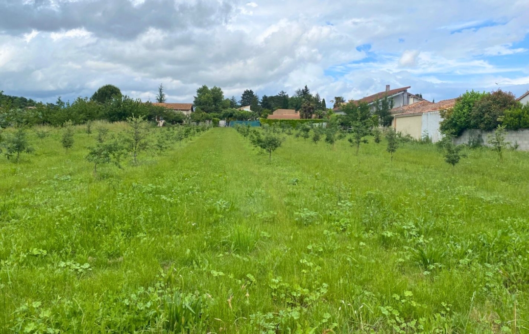 Annonces TOURNON : Terrain | LARNAGE (26600) | 0 m2 | 110 000 &euro; 