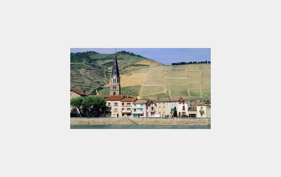 Annonces TOURNON : Terrain | LARNAGE (26600) | 0 m2 | 109 000 &euro; 